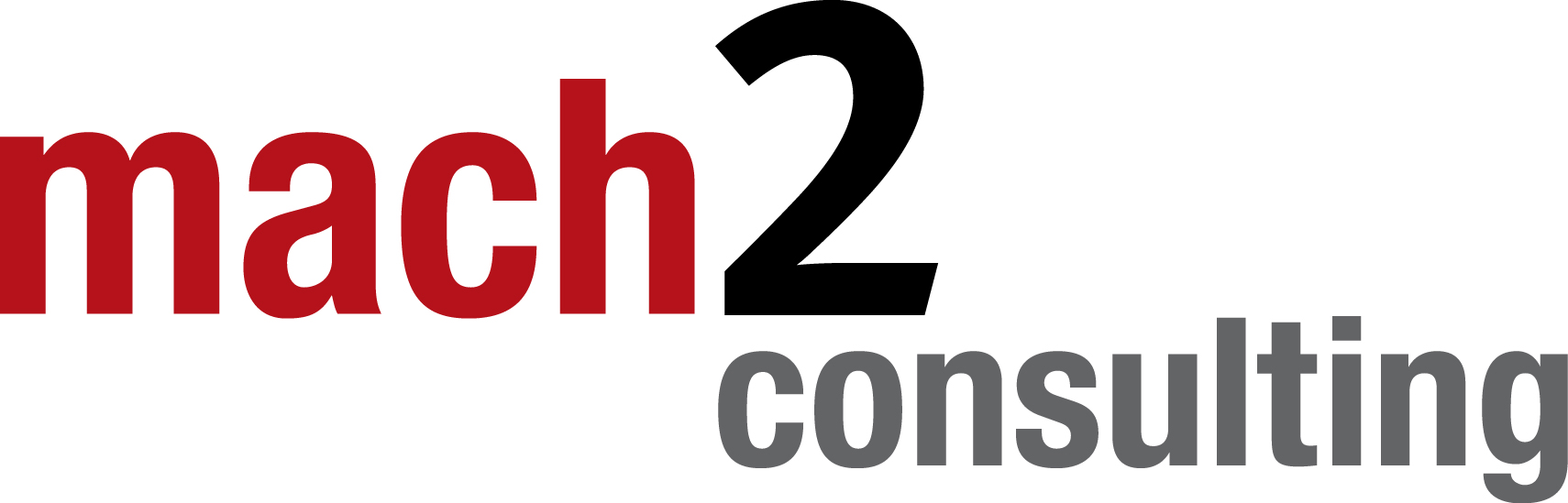 Mach 2 Consulting